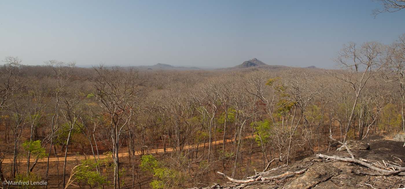 Zambia_2011_1D-4724.jpg