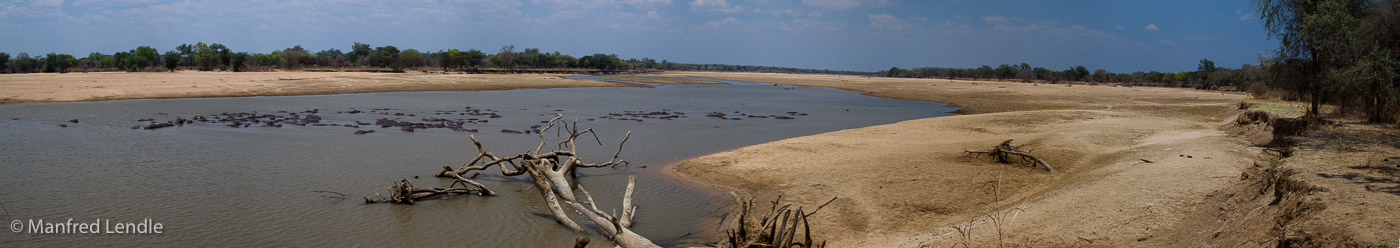 Zambia_2011_1D-5372.jpg