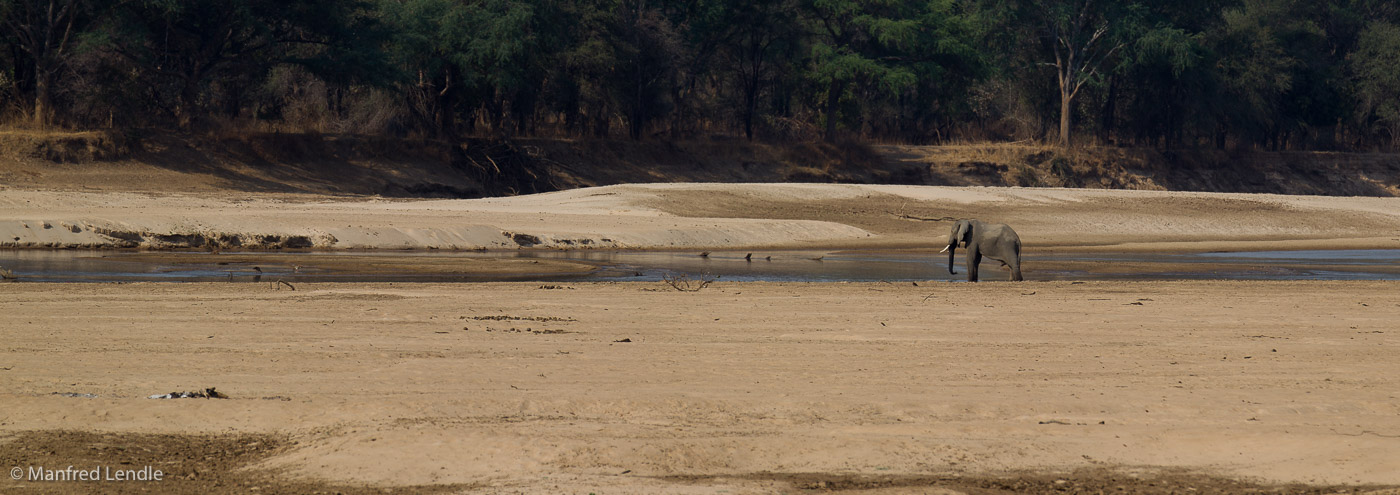 Zambia_2011_1D-5469.jpg