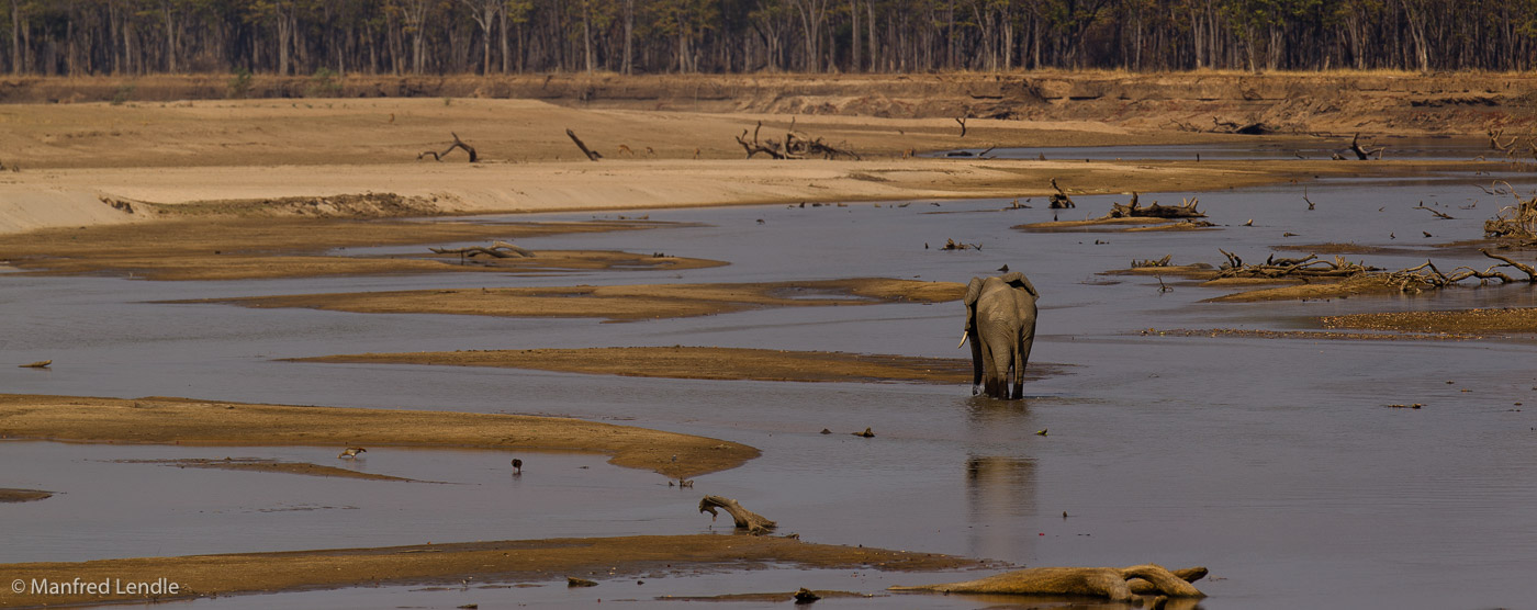 Zambia_2011_1D-5471.jpg