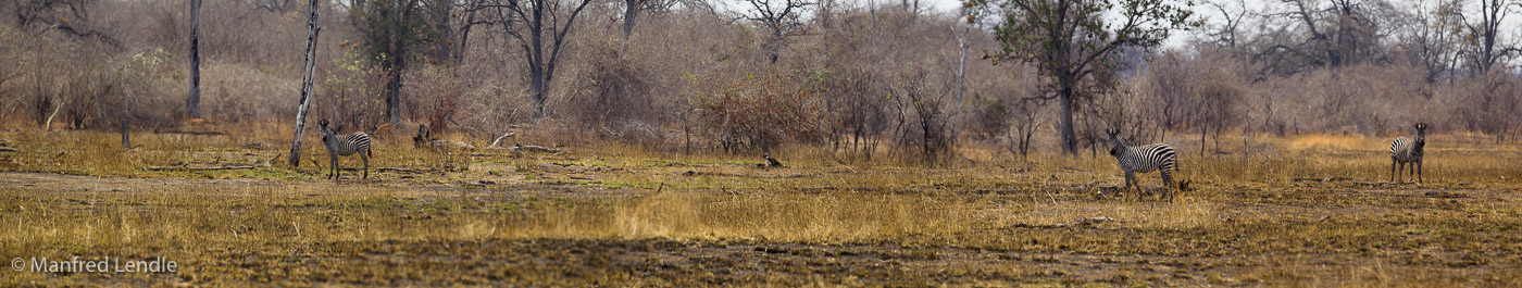 Zambia_2011_1D-6164.jpg