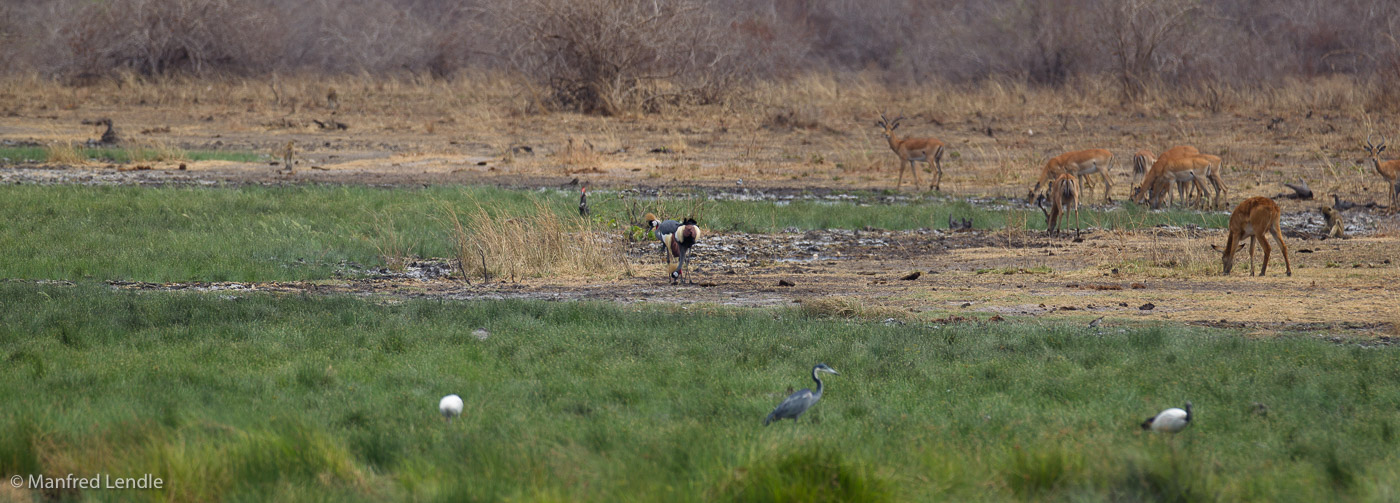 Zambia_2011_1D-6171.jpg