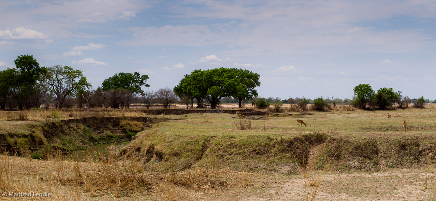 Zambia_2011_1D-6501.jpg