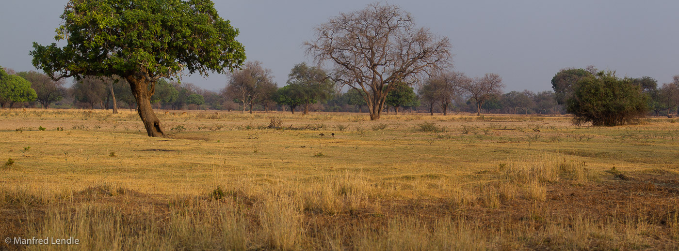 Zambia_2011_1D-6689.jpg