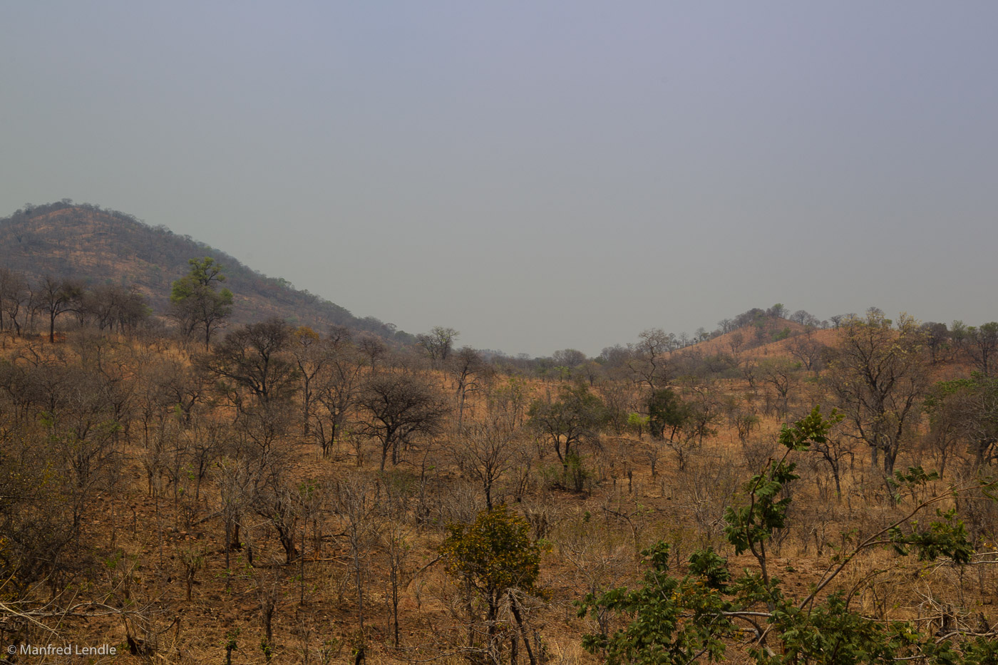 Zambia_2011_1D-7479.jpg