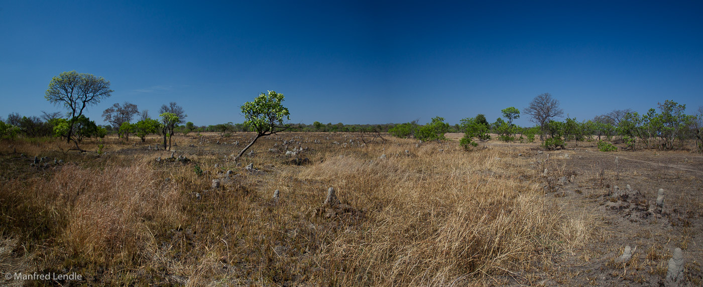 Zambia_2011_1D-8238.jpg