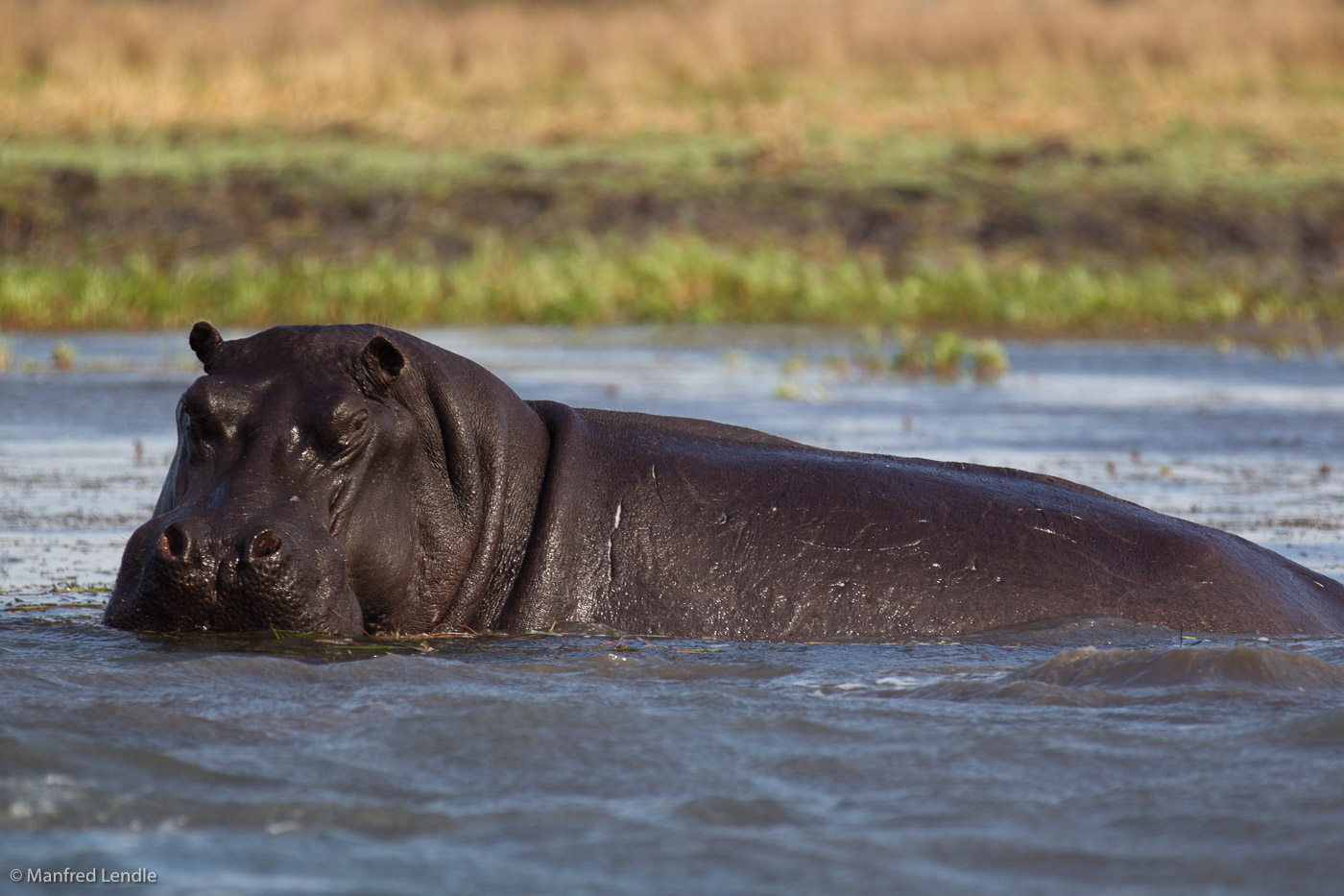 Zambia_2011_1D-8671.jpg