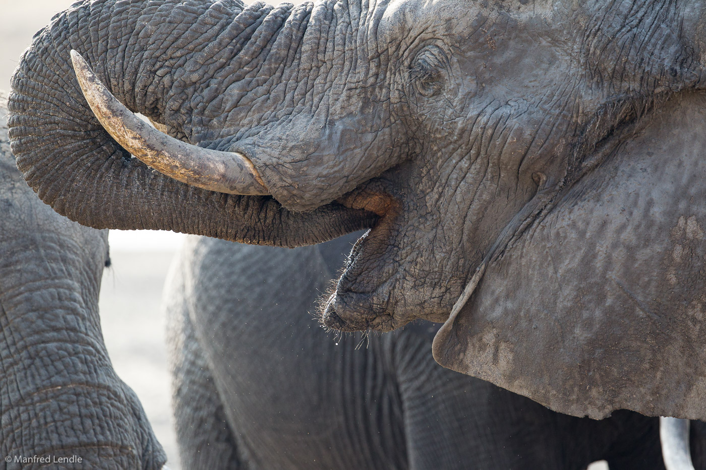 Zimbabwe_2012_1D-0150.jpg