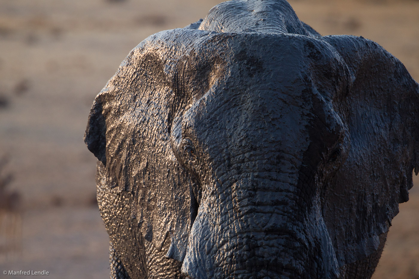 Zimbabwe_2012_1D-0316.jpg