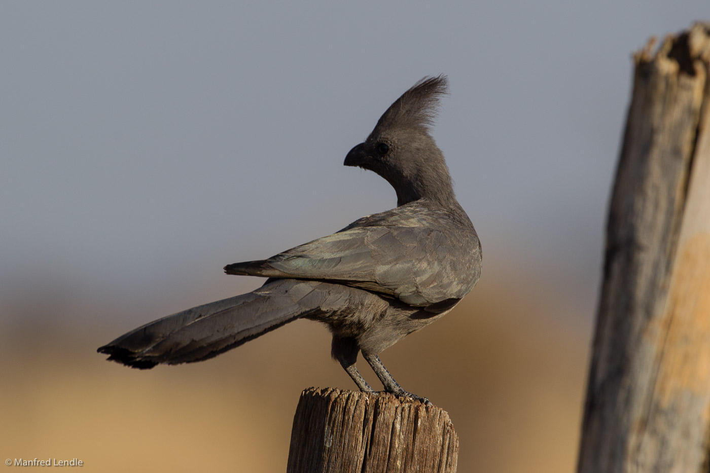 Zimbabwe_2012_1D-0457.jpg