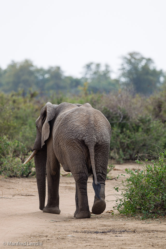Zimbabwe_2012_1D-1368.jpg