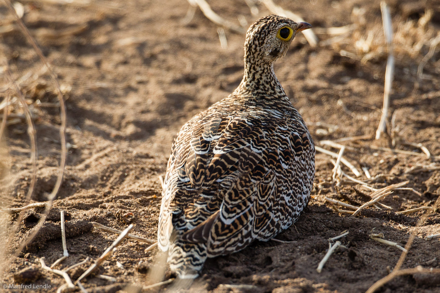 Zimbabwe_2012_1D-1583.jpg
