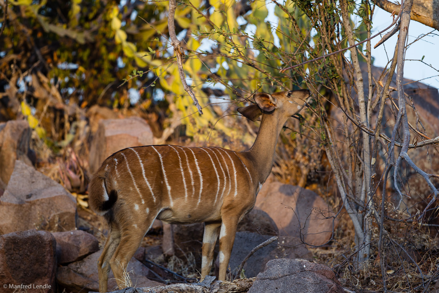 Zimbabwe_2012_1D-1605.jpg