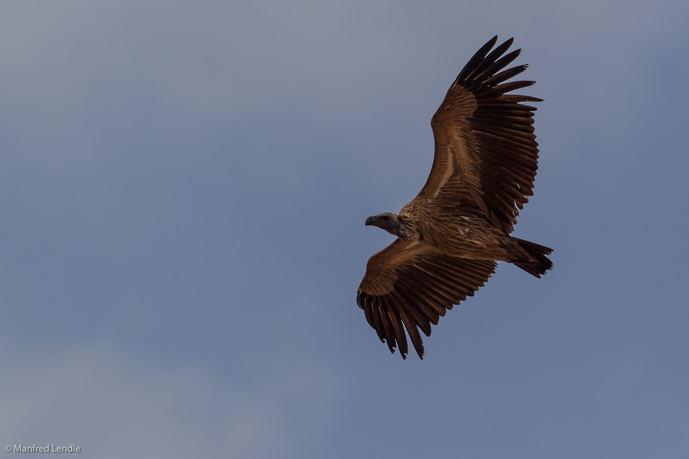 Zimbabwe_2012_1D-1737.jpg