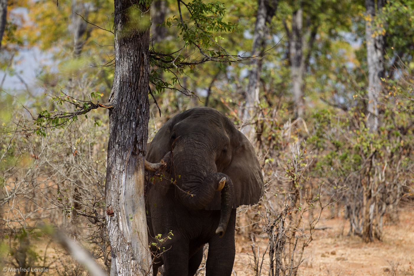 Zimbabwe_2012_1D-1834.jpg
