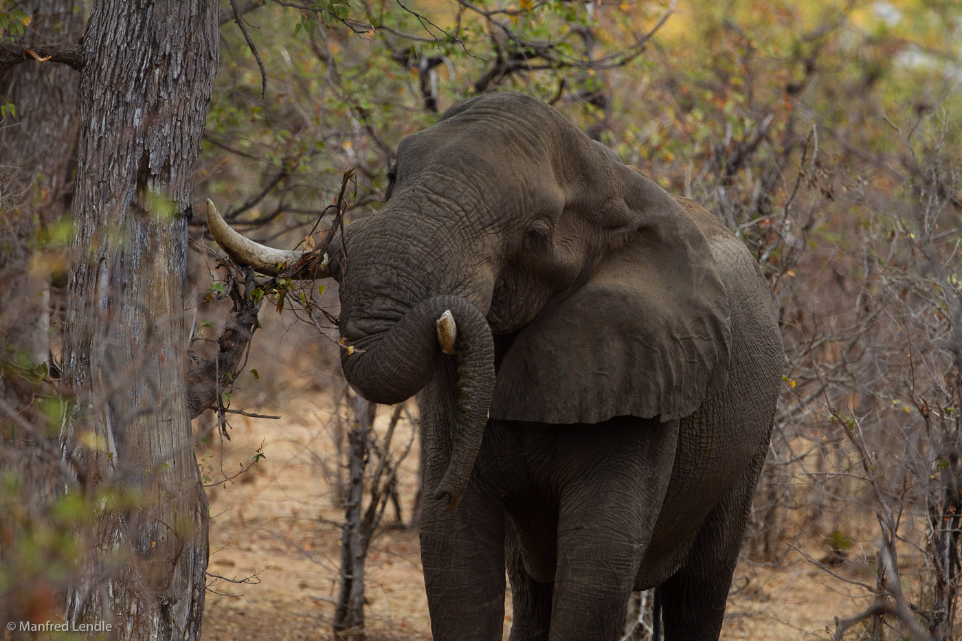 Zimbabwe_2012_1D-1847.jpg