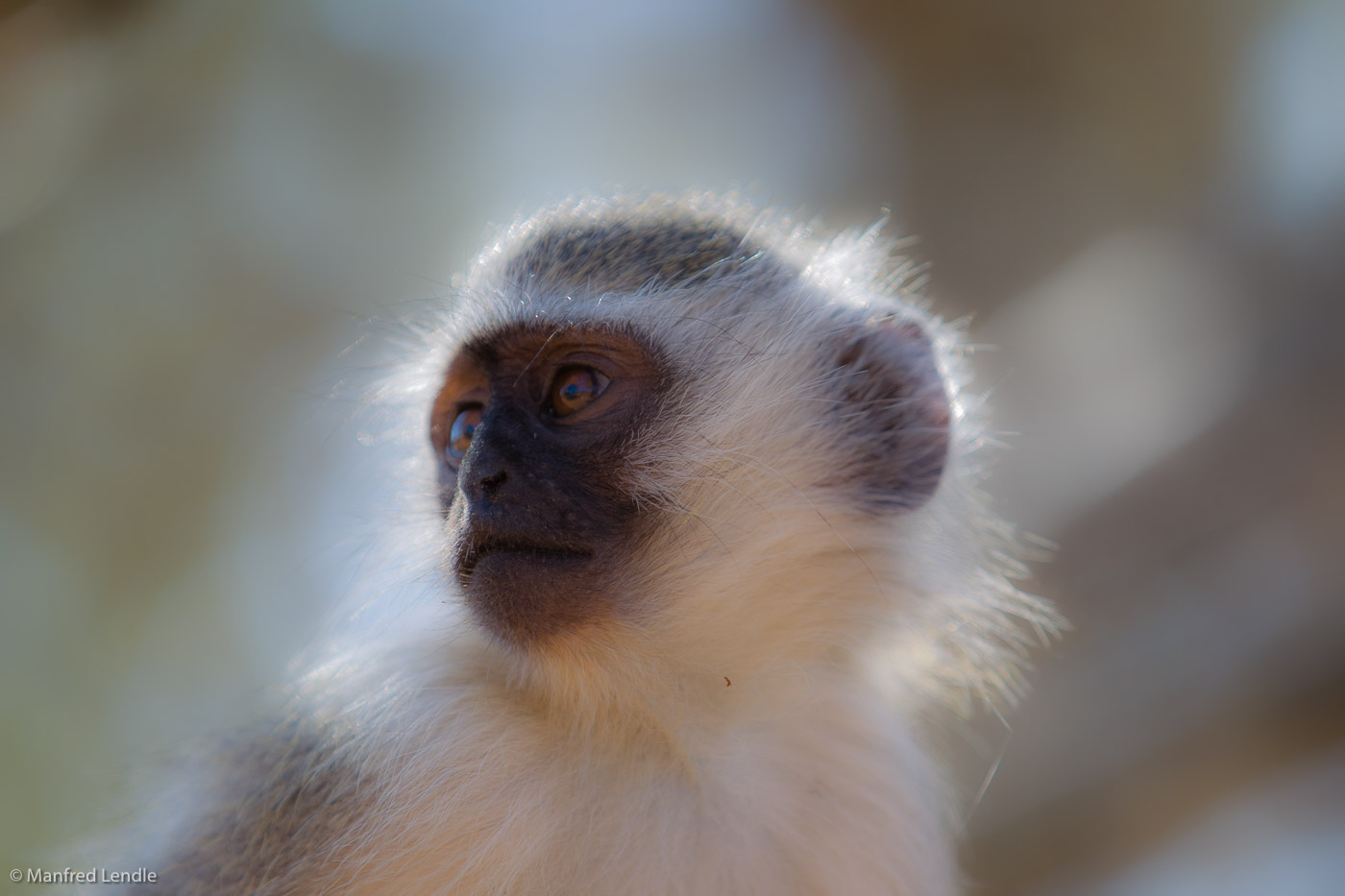 Zimbabwe_2012_1D-2230.jpg