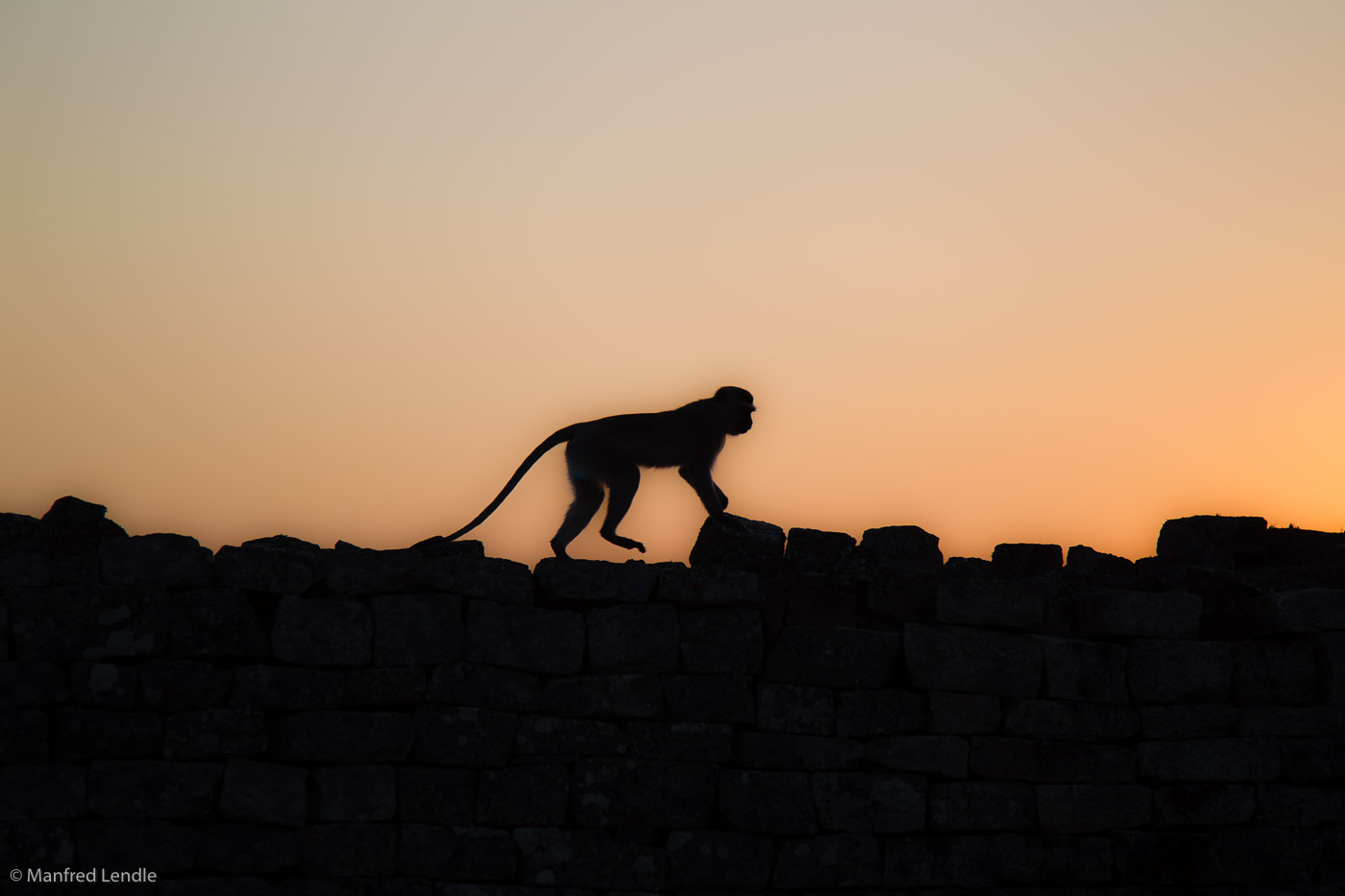 Zimbabwe_2012_1D-2371.jpg