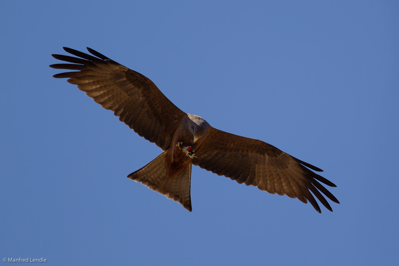 Zimbabwe_2012_1D-3003.jpg