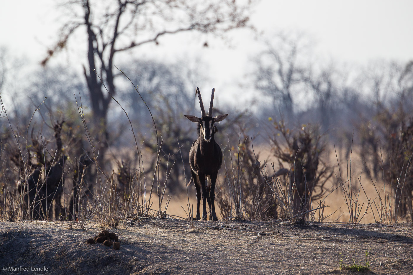 Zimbabwe_2012_1D-3210.jpg