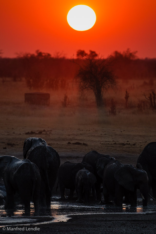 Zimbabwe_2012_1D-9644.jpg