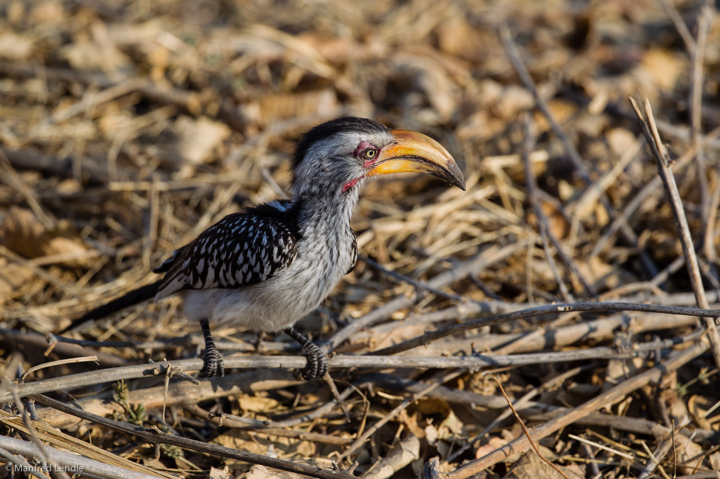 Zimbabwe_2012_1D-9858.jpg