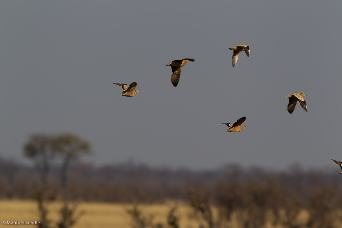 Zimbabwe_2012_1D-9882.jpg