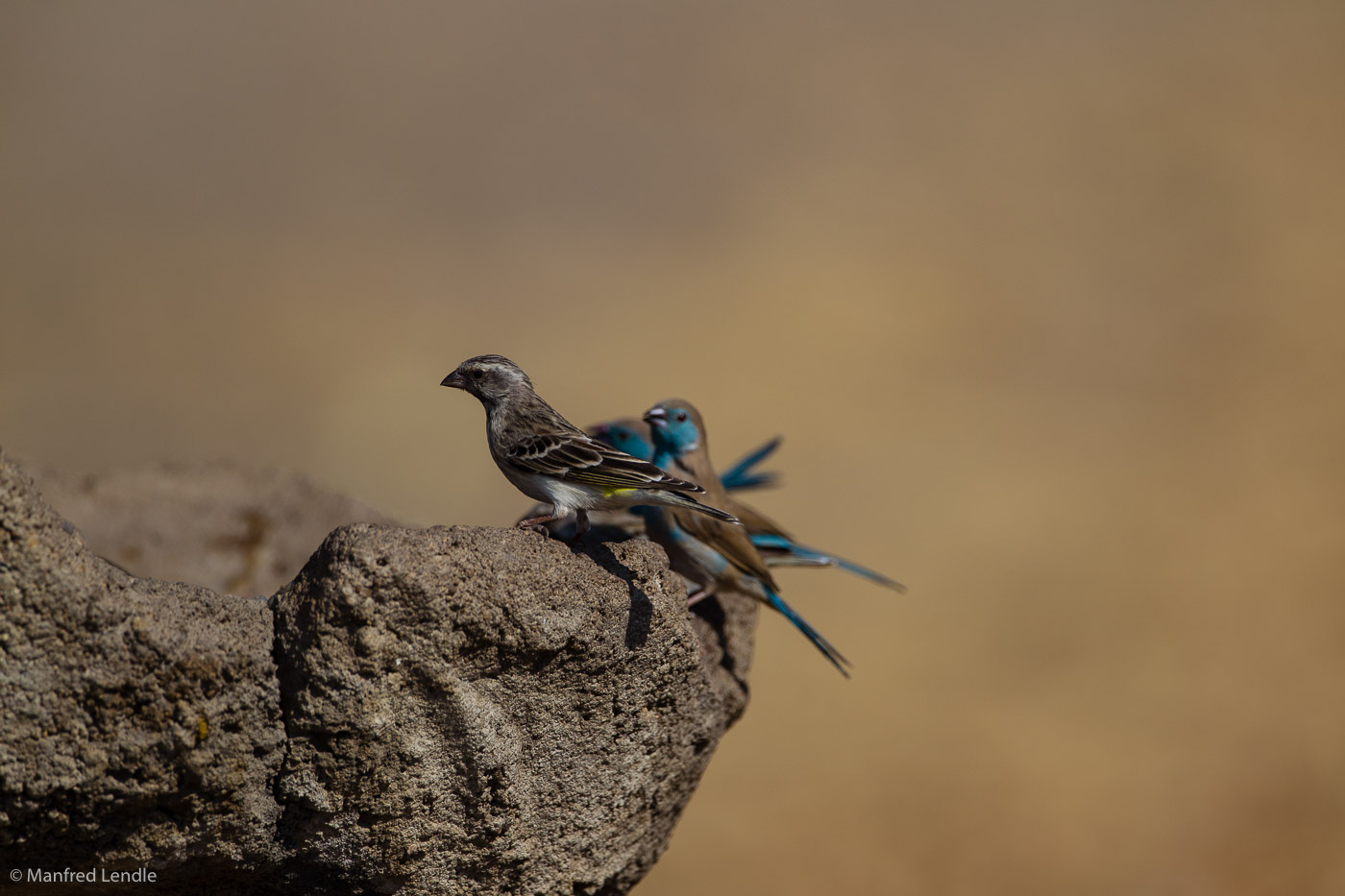 Zimbabwe_2012_1D-9951.jpg