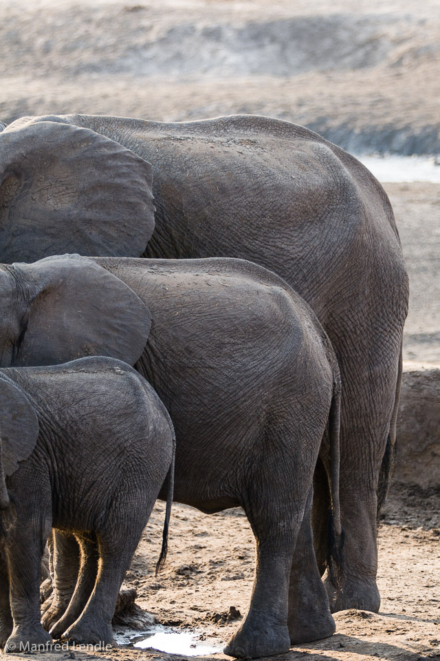 Zimbabwe_2012_20D-0083.jpg