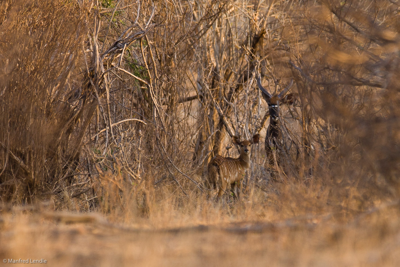 Zimbabwe_2012_20D-9145.jpg