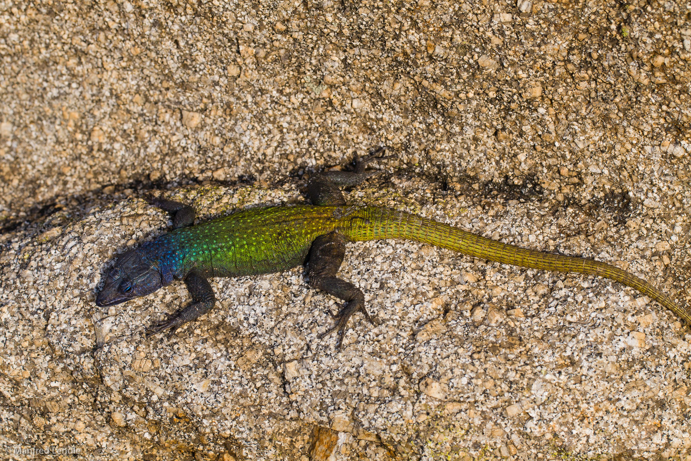 Zimbabwe_2012_20D-9400.jpg