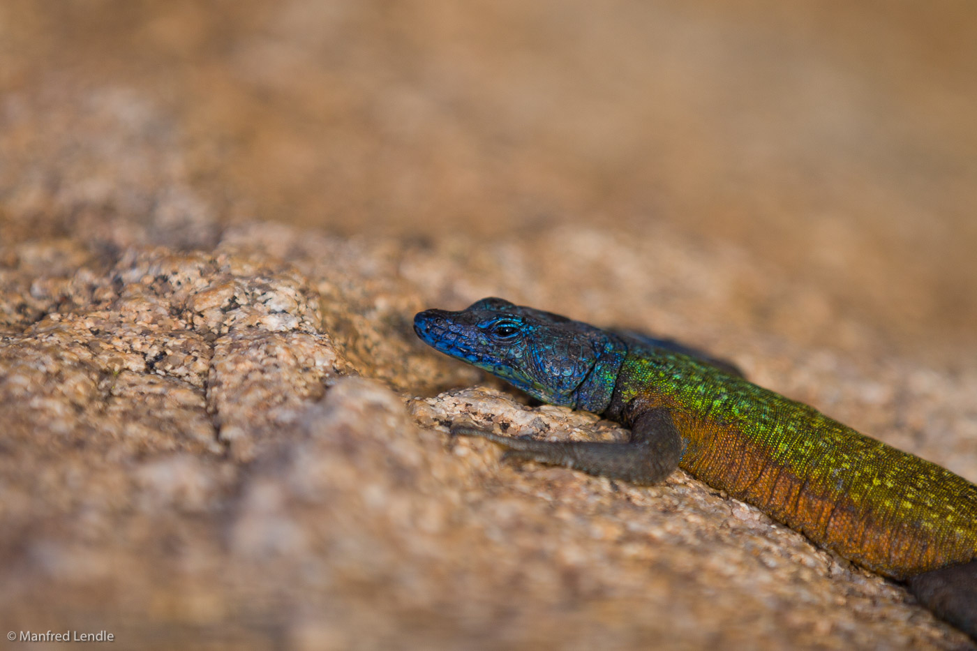 Zimbabwe_2012_20D-9418.jpg