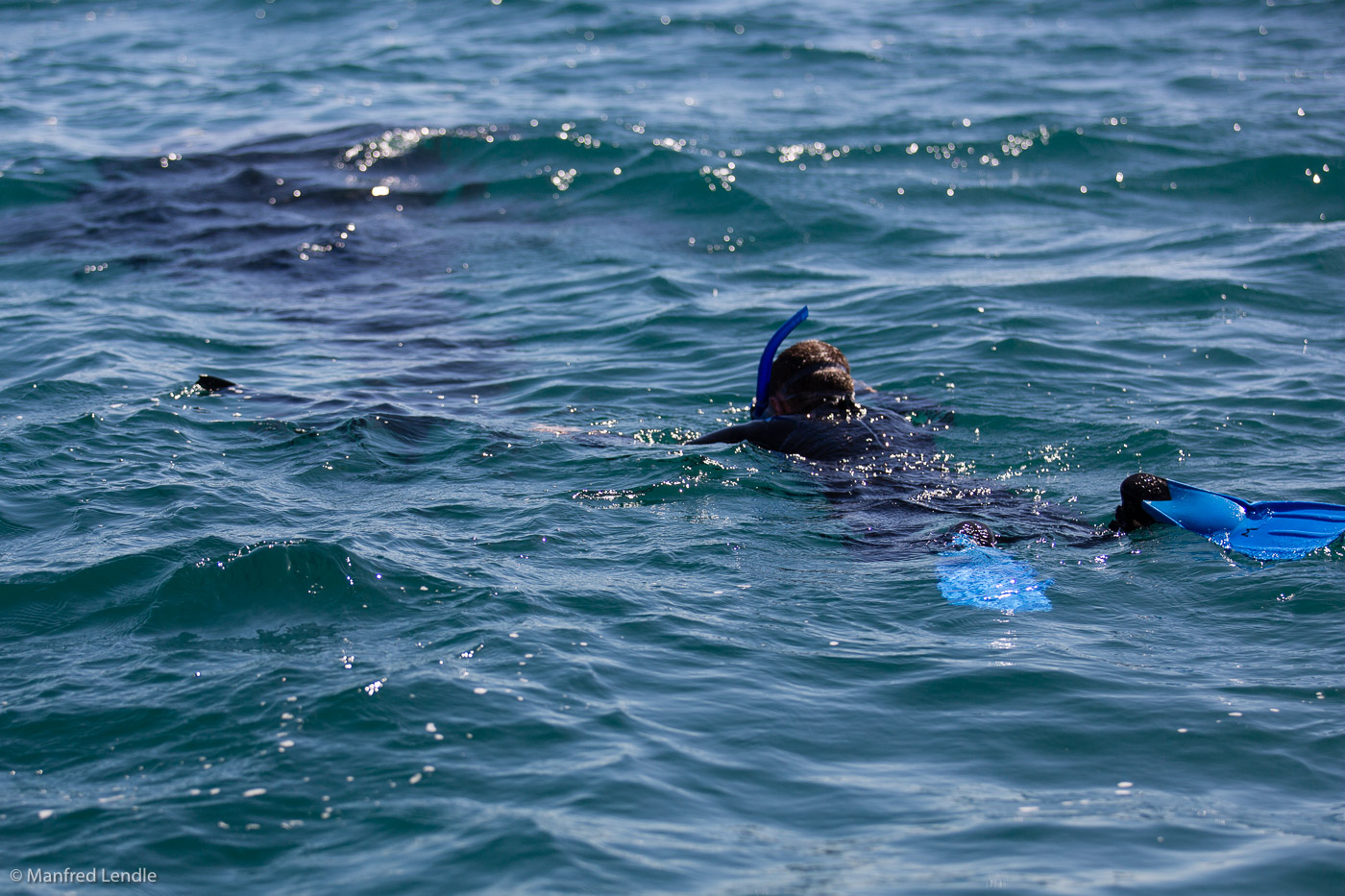 Mexiko_2014_5D-8703.jpg