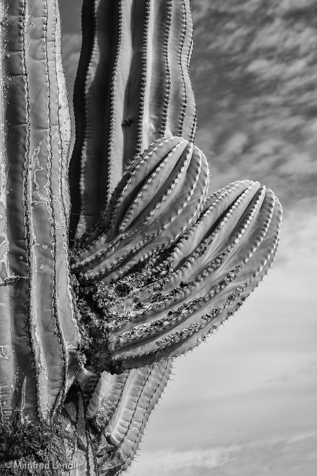 Mexiko_2014_5D-1598.jpg
