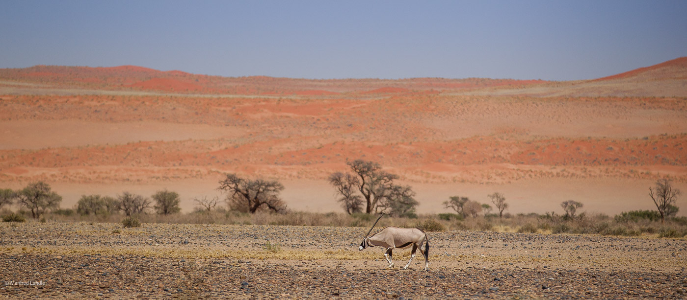 2014_Namibia_1D-9421.jpg
