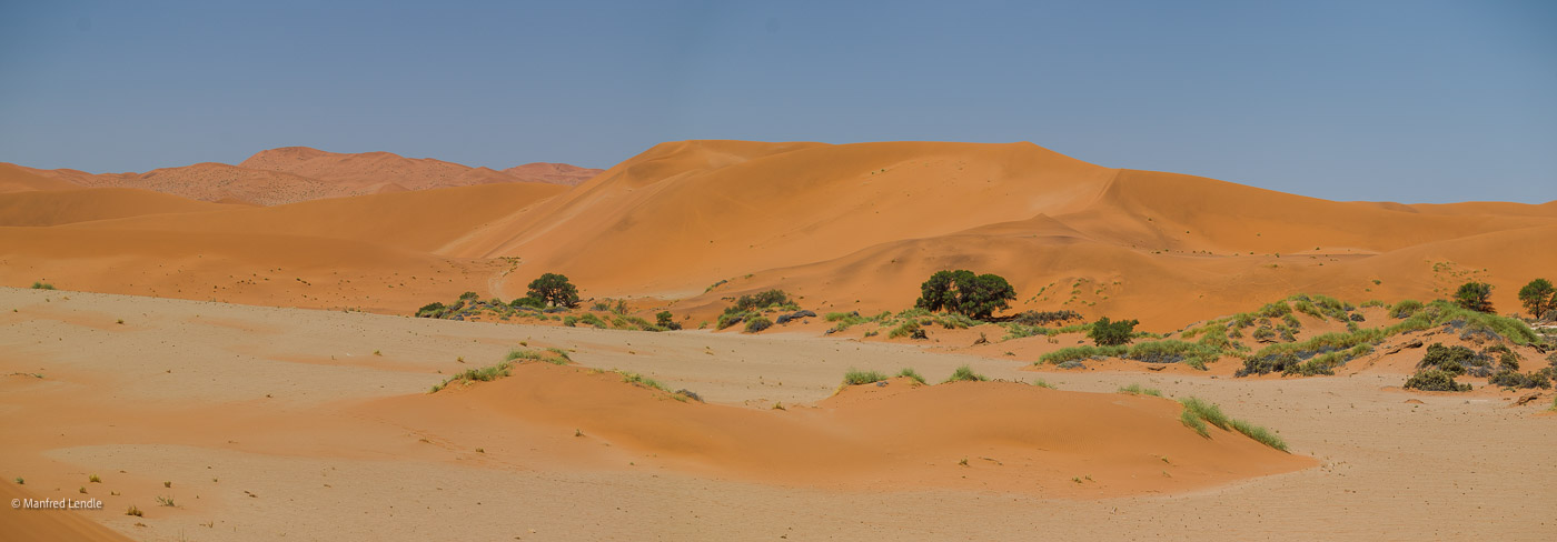 2014_Namibia_1D-9491.jpg