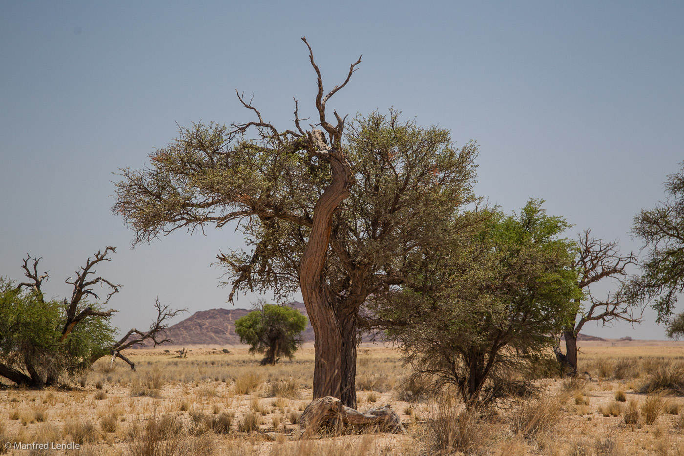 2014_Namibia_1D-8673.jpg