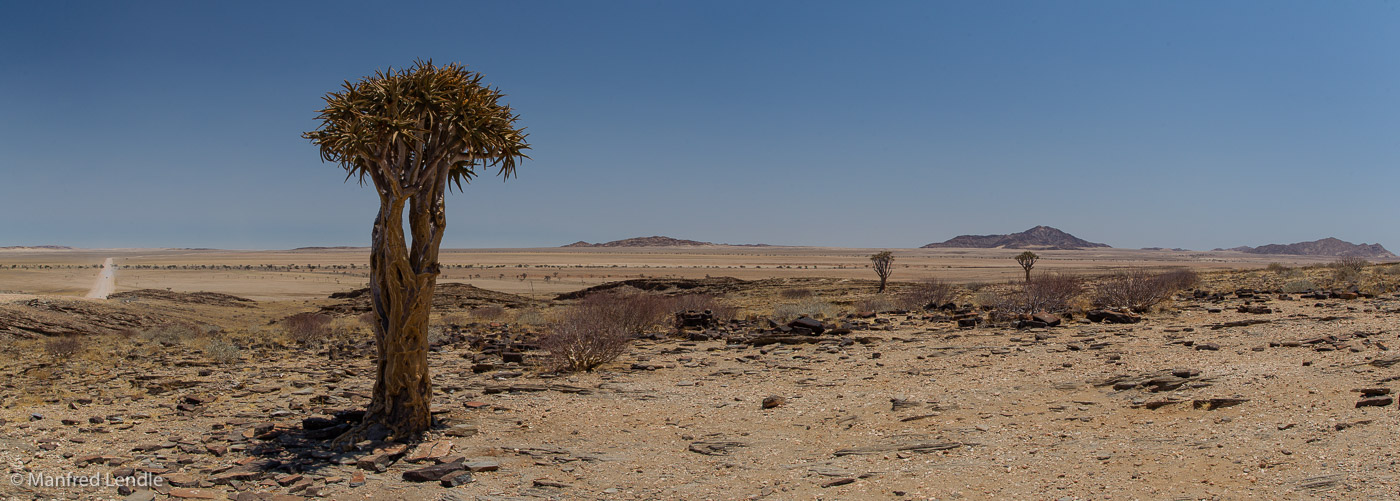 2014_Namibia_1D-8721.jpg