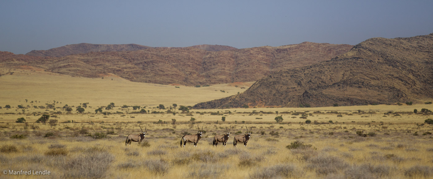 2014_Namibia_1D-9262.jpg