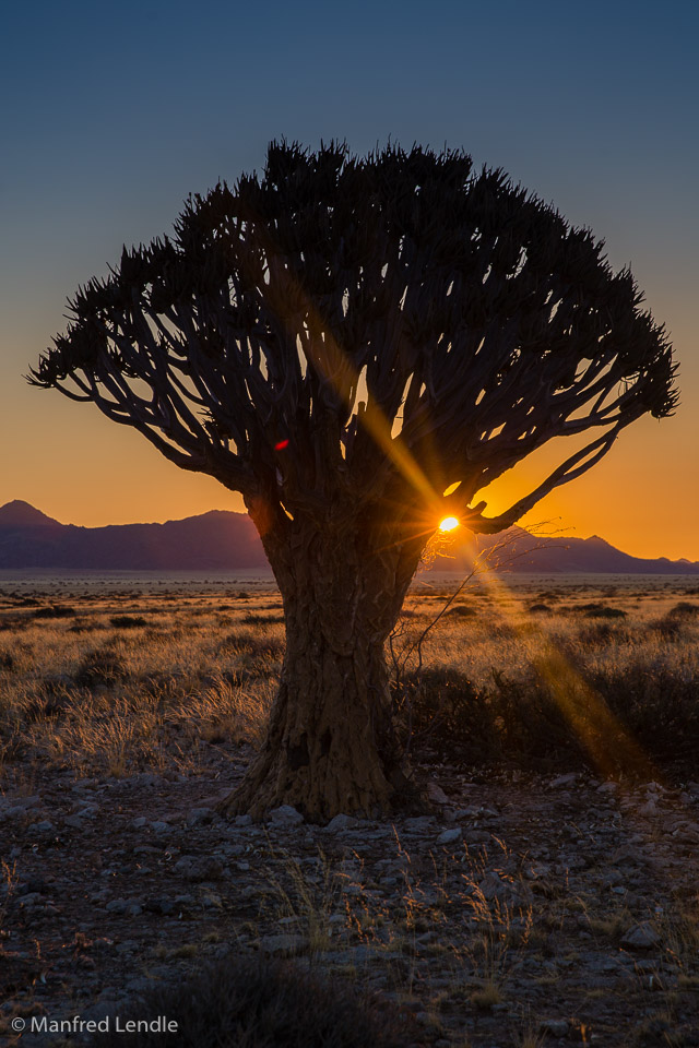 2014_Namibia_5D-8916.jpg