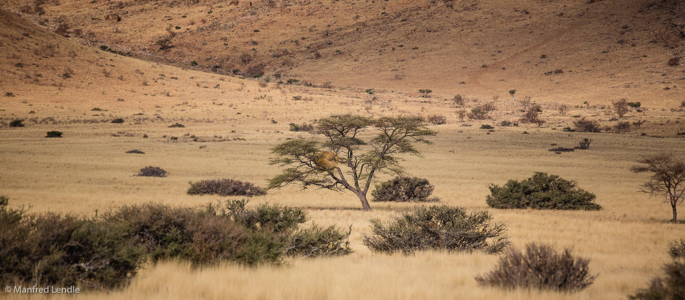 2014_Namibia_5D-9754.jpg
