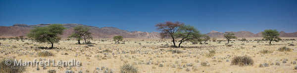 2014_Namibia_5D-9390.jpg
