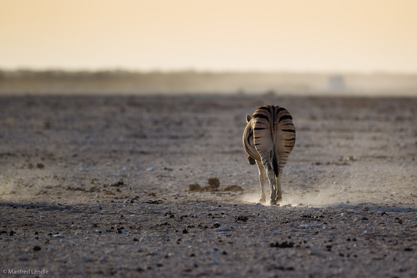 2014_Namibia_1D-5901.jpg