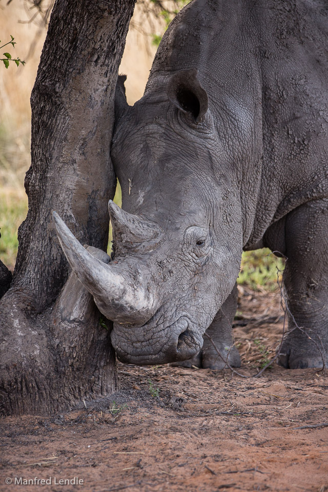 2014_Namibia_5D-3466.jpg