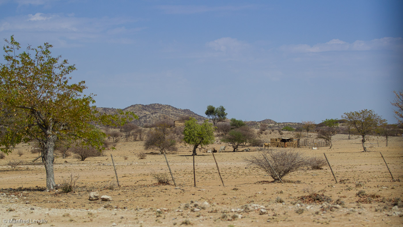 2014_Namibia_1D-6778.jpg