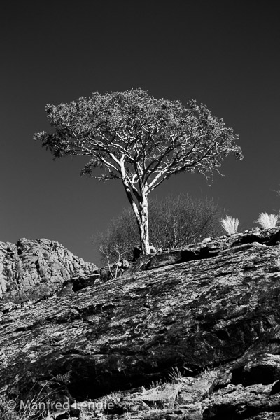 2014_Namibia_1D-7416.jpg