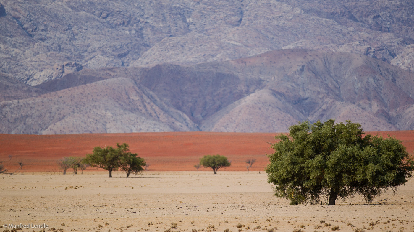 2015_Namibia_1D-3243.jpg