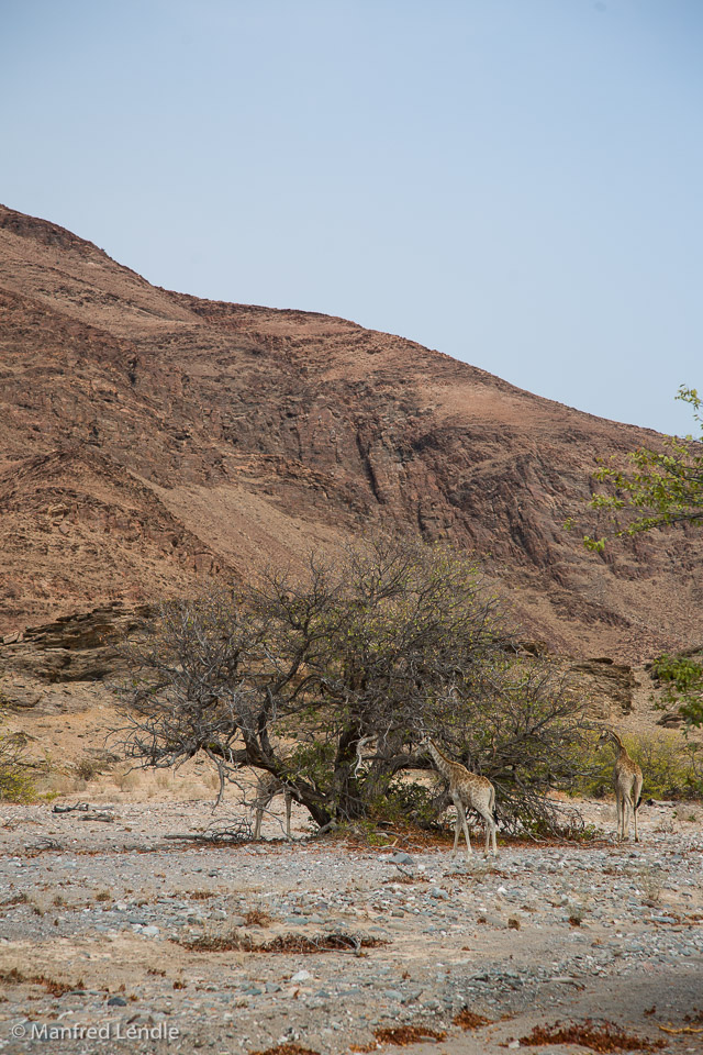 2015_Namibia_5D-1189.jpg