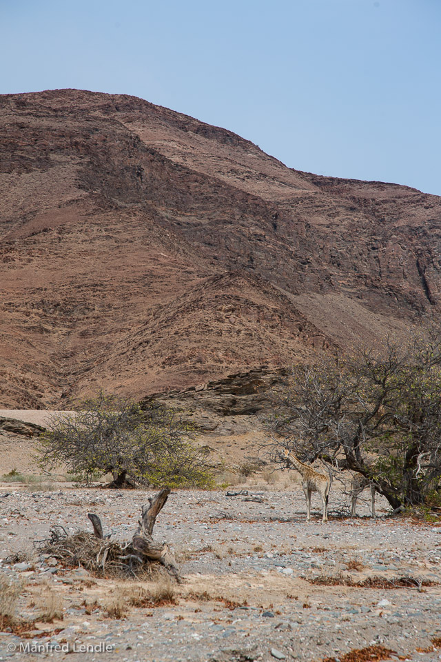 2015_Namibia_5D-1191.jpg
