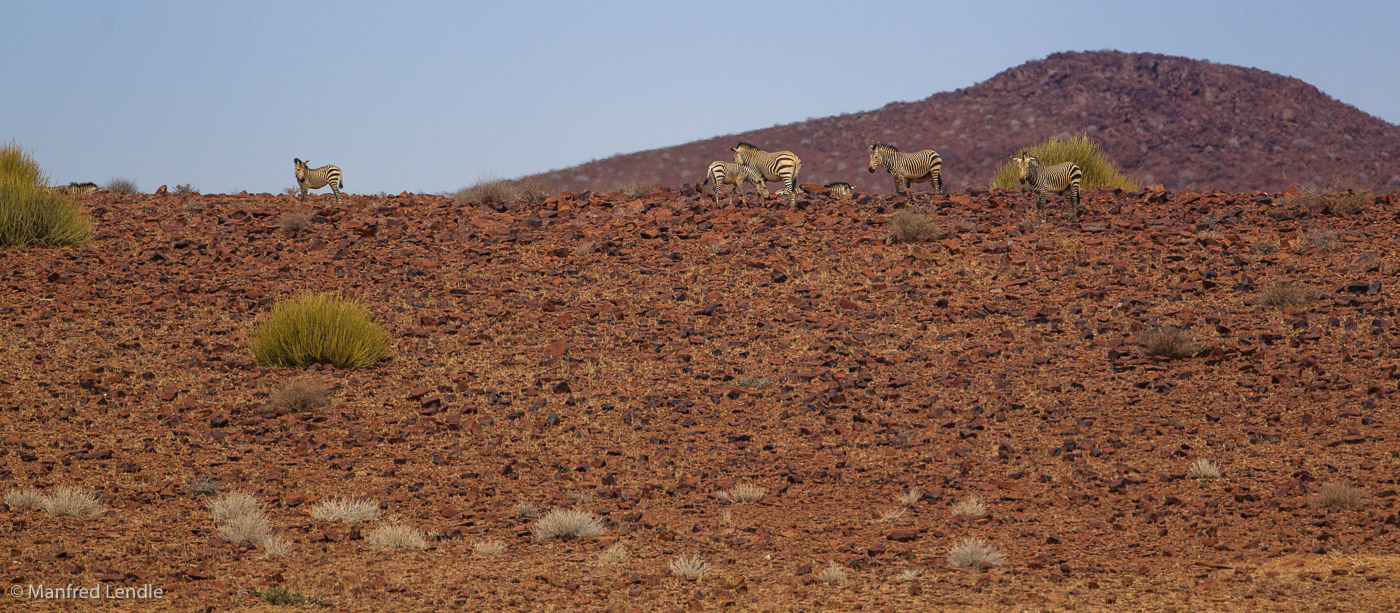 2015_Namibia_1D-1802.jpg